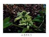 ����̒�ō��̎����萁���Ă���B