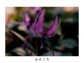 ���ʂ��珟�����̓r���̃r�W�^�[�Z���^�[�ŎB�e�B