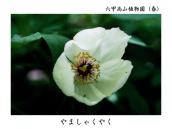 �������B