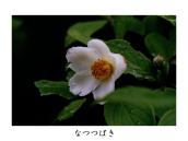 �u�����v���ƕ���ɏo�Ă���B���s�̓��щ@�ɂ�����B