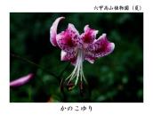 8�����`9��