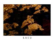 �z���̑�̋߂��̎��@�B