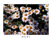 ���Ɍ��ԁB�u�̂��������́v