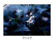 ������������̒��ԁB�Î_���ς�����B12���̂͂��߂ɍ炭�B